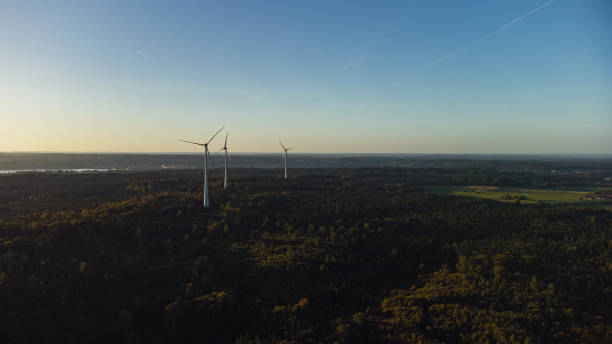 istock wind power plant at sunset 1738825589