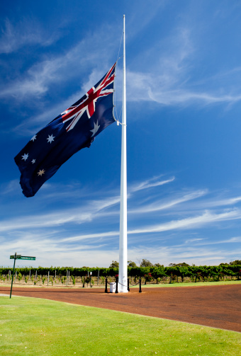 australian flag with vines behind