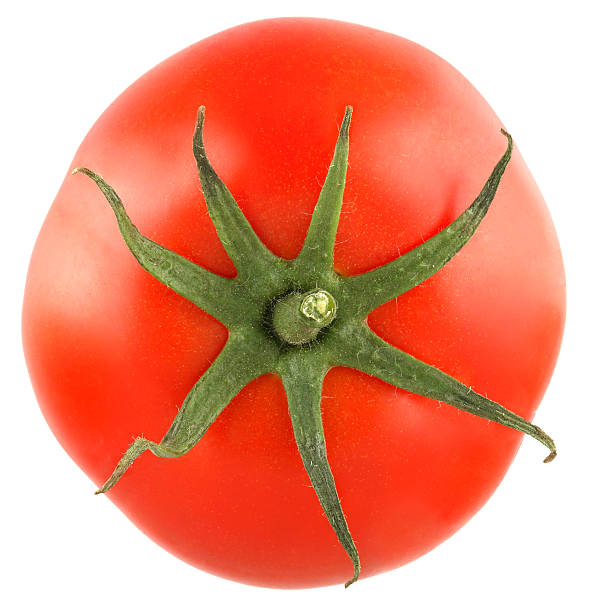 tomate aislado - tomatoes on vine fotografías e imágenes de stock