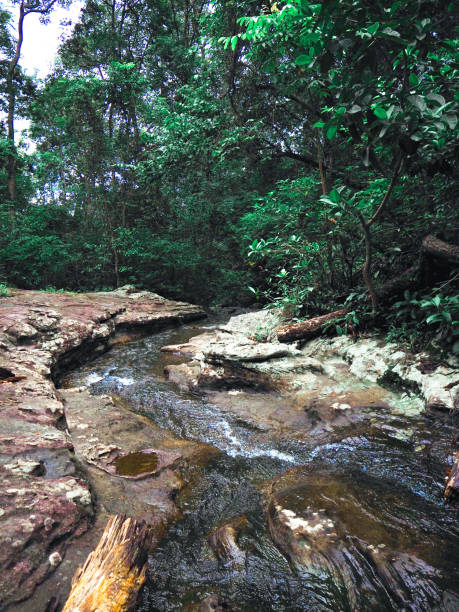 istock Waterfall, Khumhom, Thailand, Sakhon nakhon 1738832326