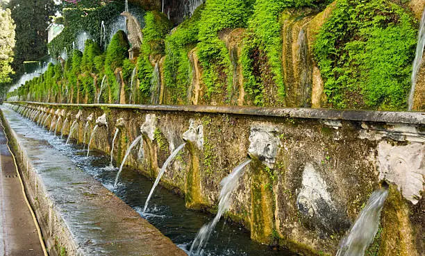 Fountain in Villa d'Este gardens, Tivoli, Italy.