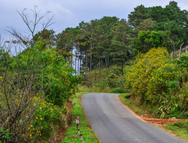 istock Mountain road in Dalat, Vietnam 1738839552