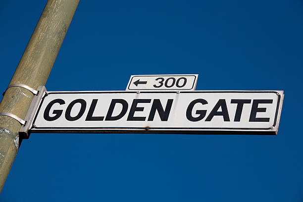 istock Famous Streets of San Francisco Series 173884364