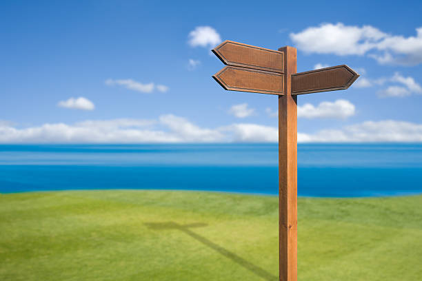 istock Wooden Blank Arrow Sign 173884495