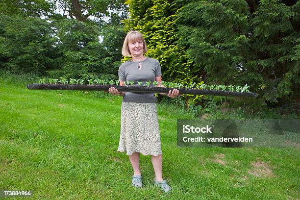 Growing Peas Series Stock Photo - Download Image Now - 50-59 Years, Adult, Adults Only