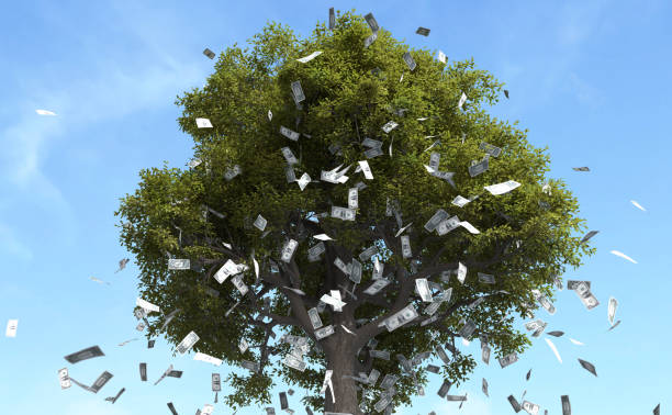 istock Dollar bill falling from the tree, Money falling from the tree, Money fall from the tree. 1738853849