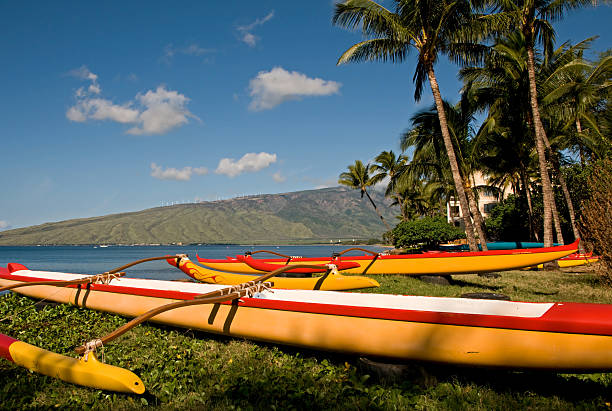 tradicional canoas en maui - canoa con balancín fotografías e imágenes de stock