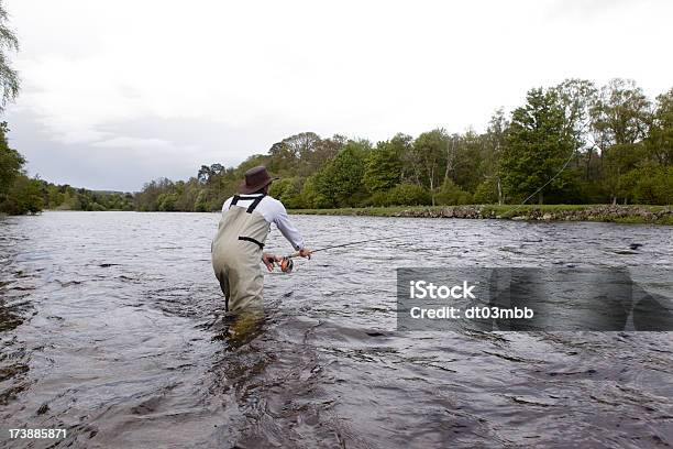 Köder Auswerfen Stockfoto und mehr Bilder von Fischen - Fischen, Fluss, Fluss Dee