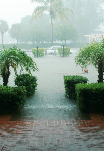 ulewny deszcz - hurricane florida zdjęcia i obrazy z banku zdjęć