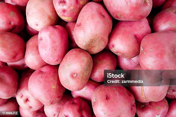 Foto de Batatas Vermelha e mais fotos de stock de Amontoamento - Amontoamento, Batata - Tubérculo, Batata vermelha