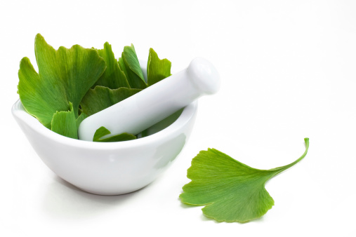 Ginkgo biloba in a mortar on a white background