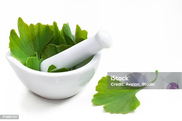 Ginkgo Biloba In A Mortar On A White Background Stock Photo - Download Image Now - Ginkgo, Ginkgo Tree, Herbal Medicine