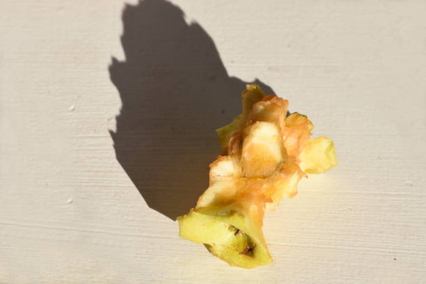 Remains of a bitten apple, background shadow