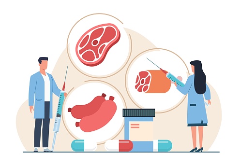 Gmo farmed meat in medical lab Injecting antibiotics, hormones into meat. Scientific research. Modified food biotechnology, cartoon flat style isolated illustration. Vector bioengineering concept