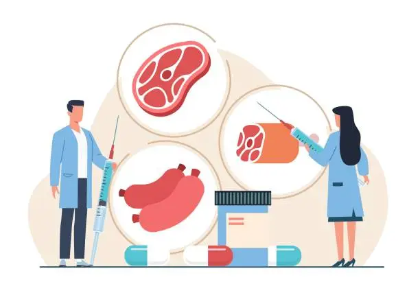 Vector illustration of Gmo farmed meat in medical lab Injecting antibiotics, hormones into meat. Scientific research. Modified food biotechnology, cartoon flat isolated illustration. Vector bioengineering concept