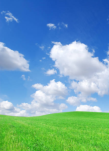 istock Green field and white clouds in the blue sky 173888053