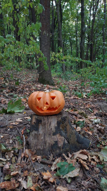 istock orange pumpkin lantern on a stump in a deserted forest on Halloween 1738881915
