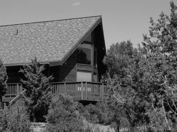 Cabin in the woods done in black and white.