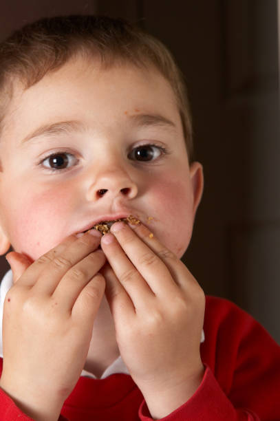 istock Four year old boy eating chocolate biscuit 173889036