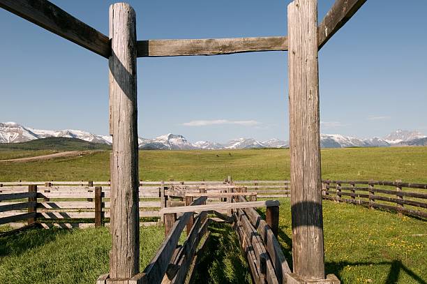 istock View of mountains framed by corral 173889296