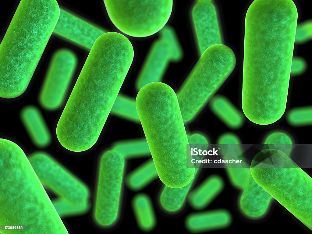 Bakterie - Zbiór zdjęć royalty-free (Antybiotyk)