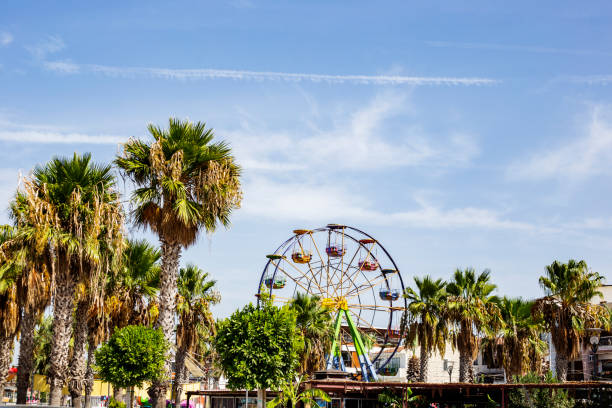 istock Ferris wheel in a public park with palm trees and blue sky copy space 1738901958