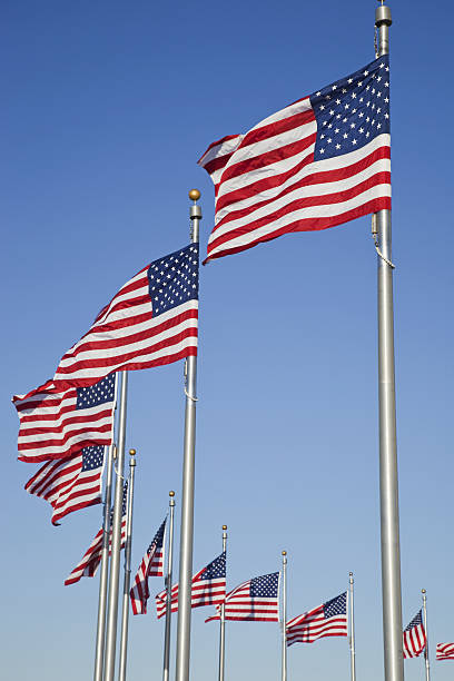istock Row of American flags 173890729