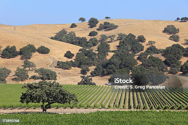 Paisaje Campestre Foto de stock y más banco de imágenes de Agricultura - Agricultura, Aire libre, Belleza de la naturaleza