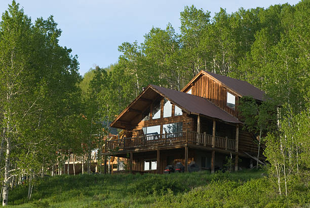 A beautiful cabin in the woods