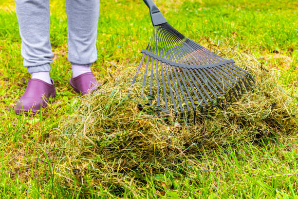 istock a man rakes dry grass in the garden 1738911430