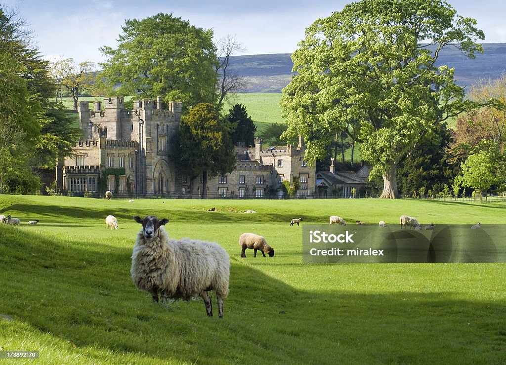 Inglés Manor con las ovejas y Yorkshire Moors - Foto de stock de Casa solariega libre de derechos