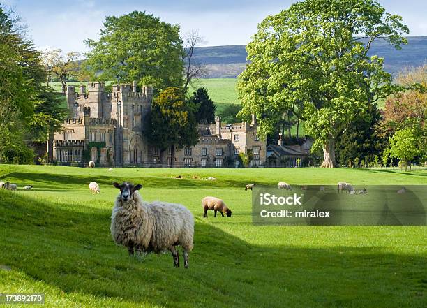 Inglés Manor Con Las Ovejas Y Yorkshire Moors Foto de stock y más banco de imágenes de Casa solariega - Casa solariega, Cultura inglesa, Inglaterra