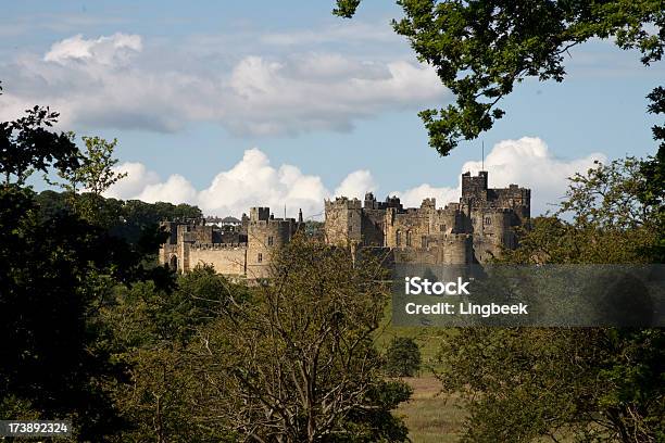 Castelo De Alnwick - Fotografias de stock e mais imagens de Castelo - Castelo, Antigo, Arcaico
