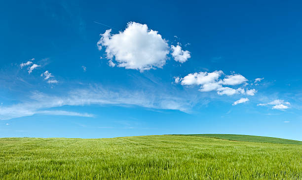 istock Pranoramic spring landscape 42MPix XXXXL- meadow, hills, blue sky 173892376