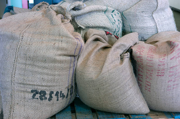 istock Green Coffee Beans in Burlap Bag 173893198