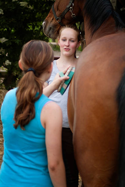 meninas adolescentes no cavalo compartimentos - teenage girls rear view women sensuality imagens e fotografias de stock
