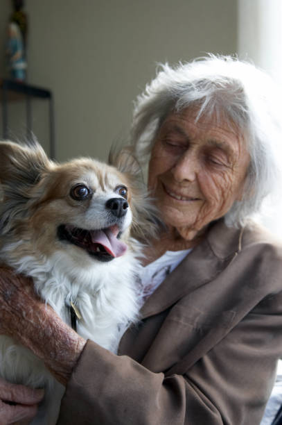 istock Papillon dog with owner 173893559