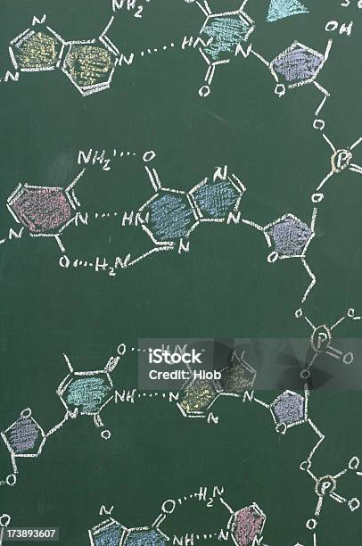 Химическая Формула Днк На Доске — стоковые фотографии и другие картинки Периодическая таблица - Периодическая таблица, Инфографика, Урок биологии