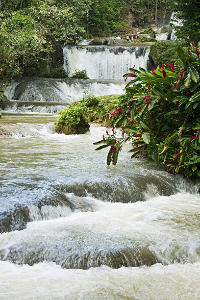водопады # 2 xl - waterfall tropical rainforest water jamaica стоковые фото и изображения