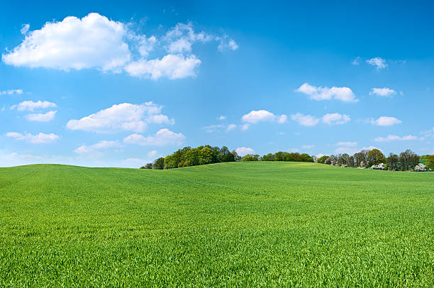 wiosna panorama 46mpix xxxxl-łące, błękitne niebo, chmury - landscape tree field solitude zdjęcia i obrazy z banku zdjęć