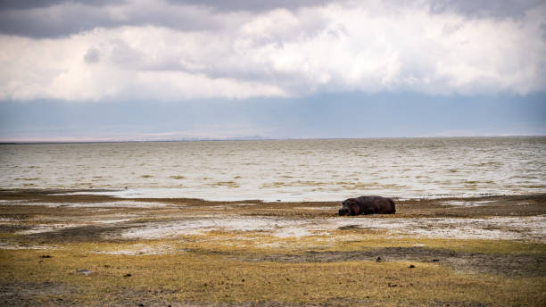 istock Life in Tanzania 1738938975