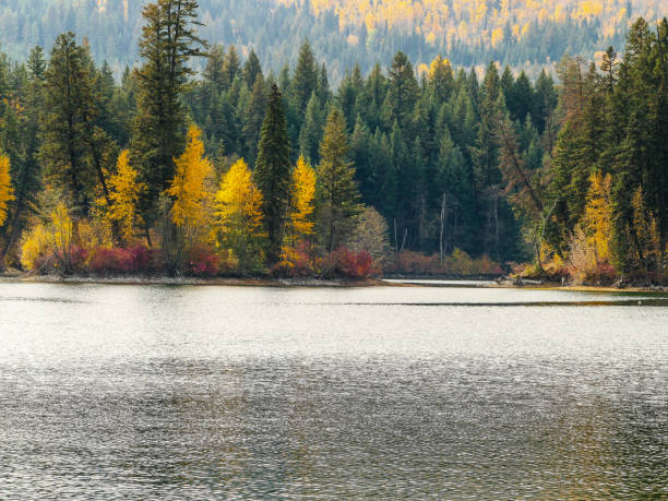 istock Lake view of tree changing colors 1738938981
