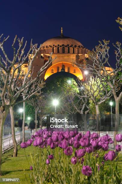 Santa Sofia - Fotografie stock e altre immagini di Aiuola - Aiuola, Ambientazione esterna, Architettura