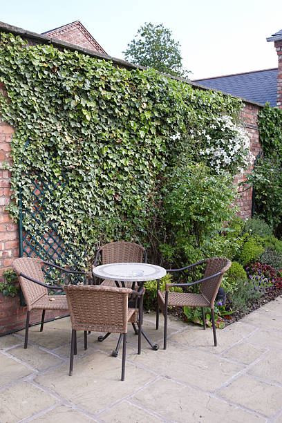 istock Outdoor table and chairs ivy covered wall 173894295