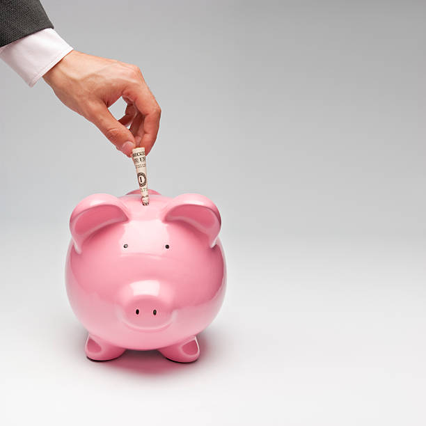 istock Piggy Bank 173894307