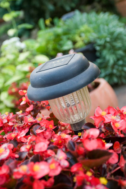 istock solar lamp in red flowers 173894336