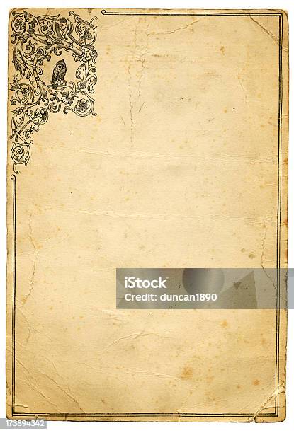 Papier Z Grunge Sowa Ramki - Stockowe grafiki wektorowe i więcej obrazów Średniowieczny - Średniowieczny, Sowa, Tło