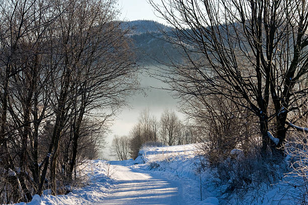 A path crosses a frosted field, shrouded in a blanket of icy fog.
