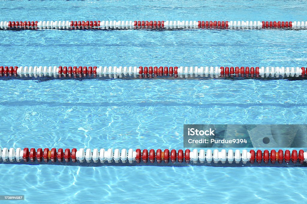Rouge, blanc et bleu Couloir de natation dans la piscine - Photo de Couloir de natation libre de droits