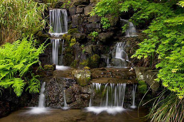 istock Waterfall surrounded by lush foliage in landscaped garden 173894760